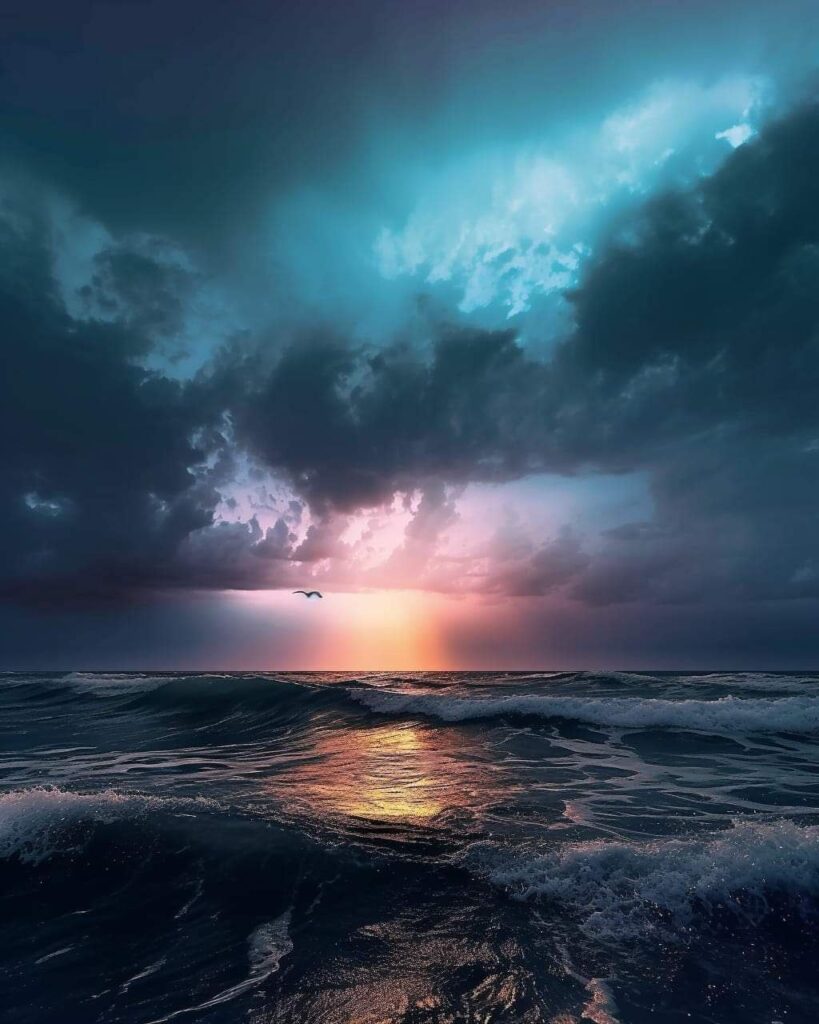 This photo is the property of Outer Banks Photography